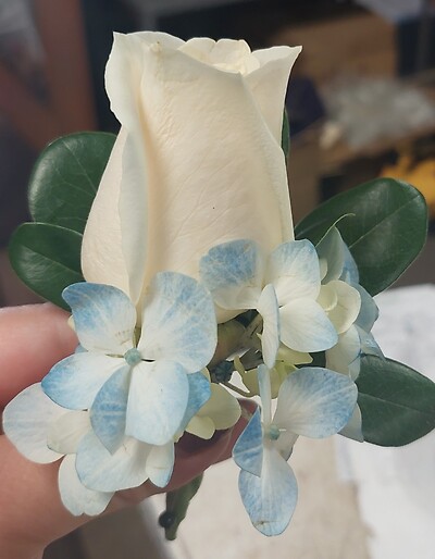 AF Large White Rose with Blue Hydrangea