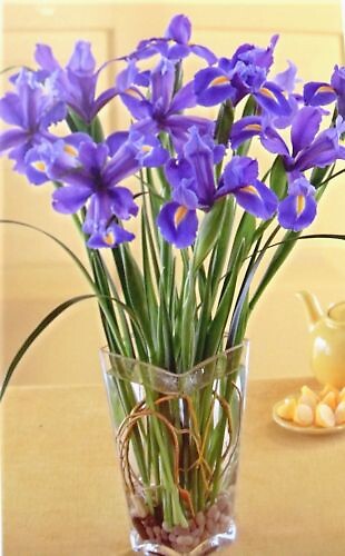 Iris Garden Bouquet