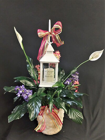 AF 6&quot; Potted Peace Lily with Silks and Lantern