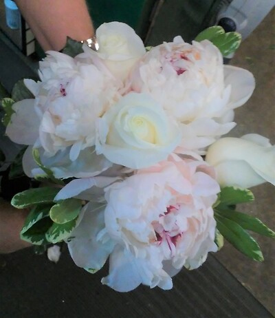 AF Specialty Peonies With Roses
