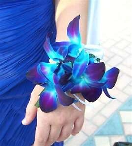 AF Blue Orchid Wrist Corsage