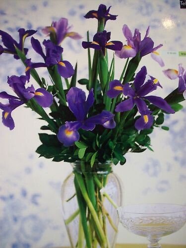 Iris Vase Arrangement