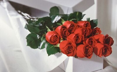 Arnold Florist &quot;Boxed Roses&quot;