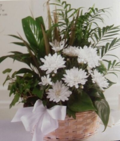Assorted Planter Basket with Fresh Flowers