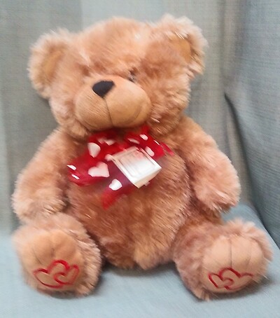 AF Teddy Bear 3