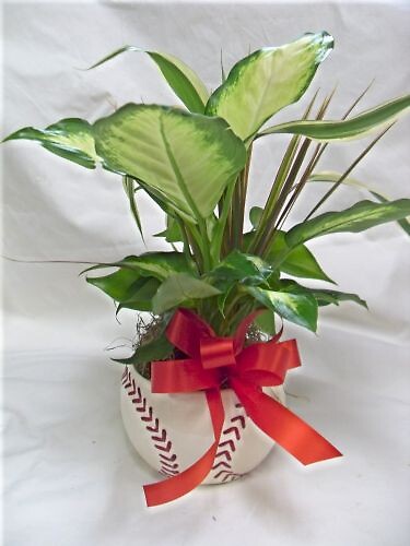 Arnold Florist Baseball Planter