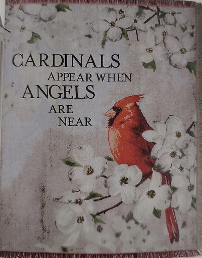 Cardinals Appear When Angels Are Near Throw