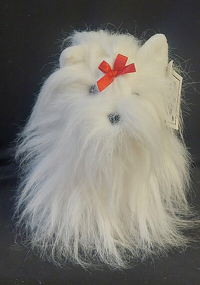 AF Maltese Dog