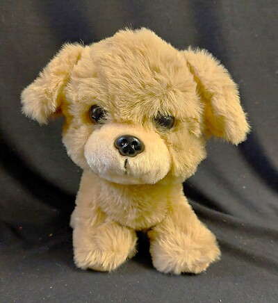 AF Biscuit the Labrador Retriever
