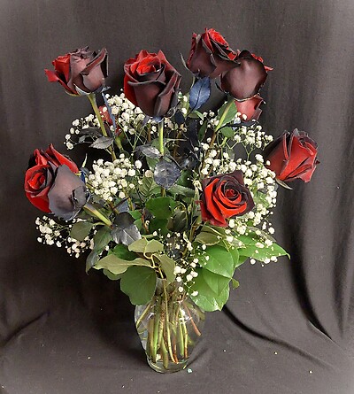 Half Black, Half Red Roses Vased