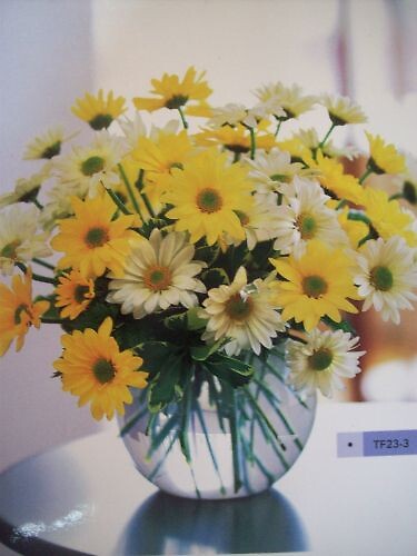 Daisy Delight Bouquet