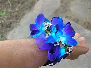 AF Triple Orchid Wrist Corsage