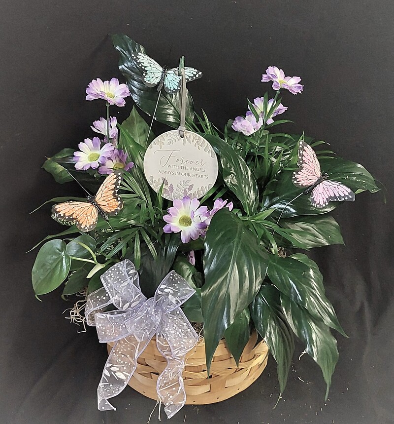 AF Butterfly Dish Garden Arnold, MO Florist Same Day Flower