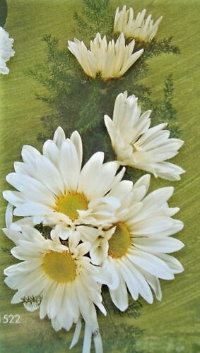 Daisy Corsage