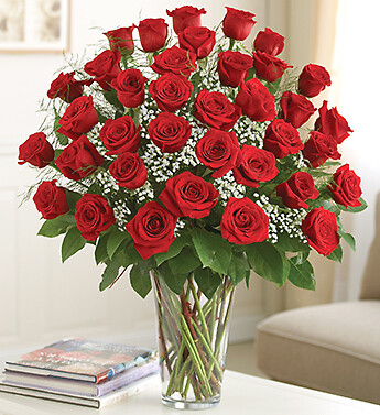 AF Three Dozen Roses Vased