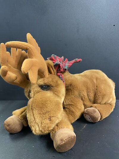 Moose