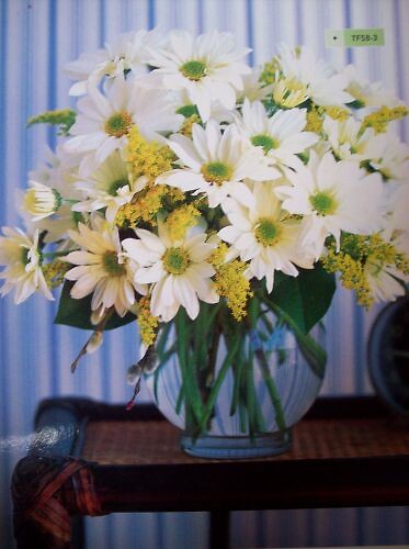 All White Daisy Bouquet