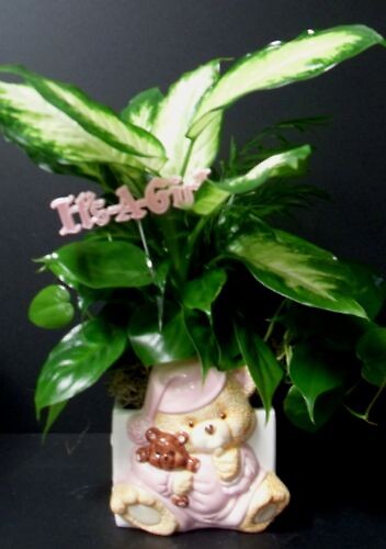 AF Baby Girl Bear Planter