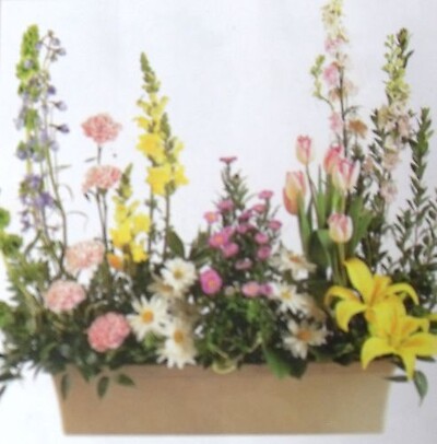 AF Window Box Arrangement