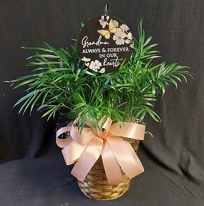 AF 6" Potted Palm with Grandma Plaque