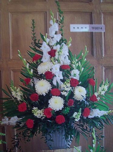 Red and White Arrangement I