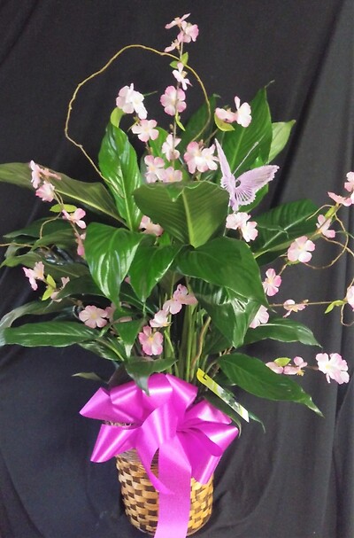 AF Decorative Peace Lily With Butterfly