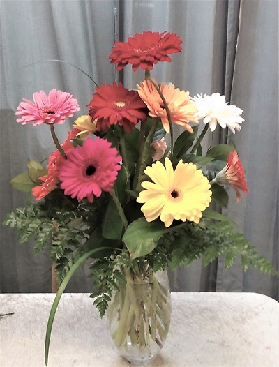 AF Gerbera Daisy Arrangement with Daisy Vase