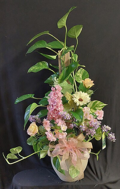 AF Large Pothos Plant with Decorative Silks