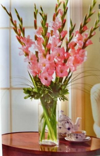 Gladioli Vase Arrangement