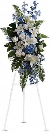 AF Blue and White Easel