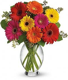 AF Gerbera Daisy Vase