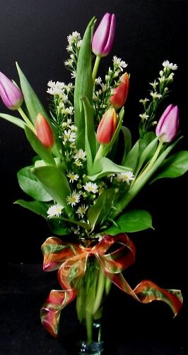 AF Half Dozen Tulips