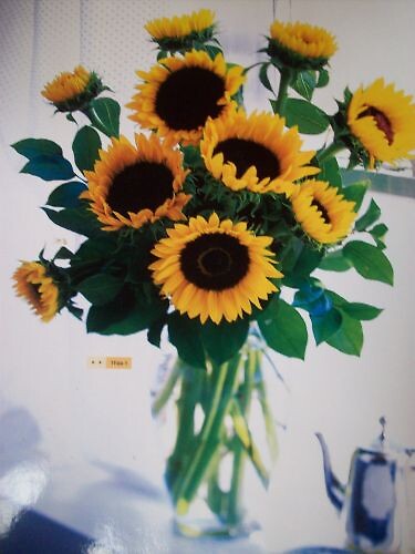 Sunflower Bouquet