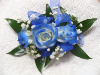 Arnold Florist Blue Royal Corsage (can pick your colors)