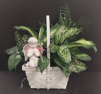 AF Small Combo in White Wicker Basket With Kneeling Angel