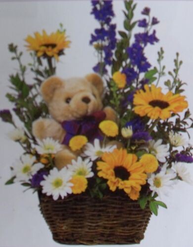 Bear in Basket