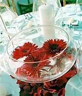 Floating Gerberas