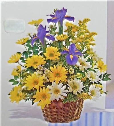 Daisy Basket