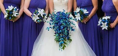 AF Blue Bomb Orchid Wedding