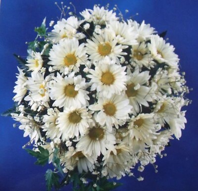 Daisy Bouquet