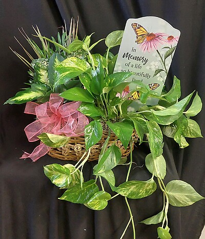 AF Beautifully Lived Dish Garden