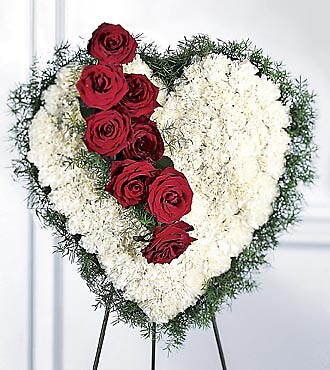 Bleeding Heart Spray 18&quot;