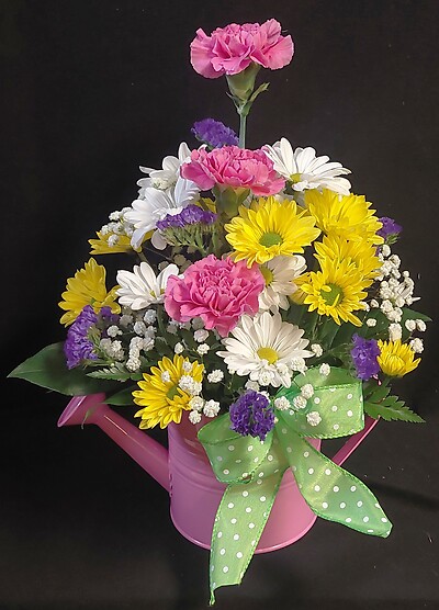 AF Colored Watering Pitcher