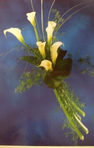 Calla lily Arm Bouquet (Half Dozen)