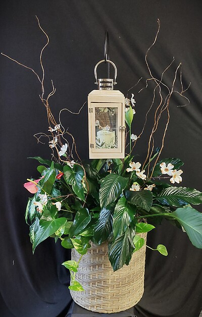 AF Extra Large Floor Dish Garden with Lantern