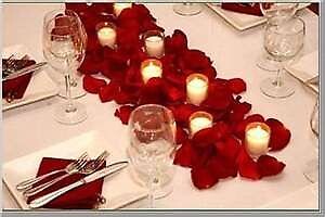 Rose Petal and Candles
