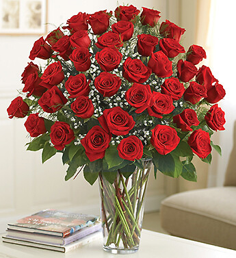 AF Four Dozen Roses Vased