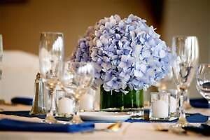 Hydrangea Blue Cube