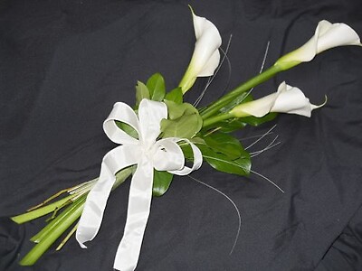 Calla Lily Arm Presentation