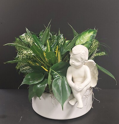 AF Dish Garden in Ceramic Design 2 with Angel